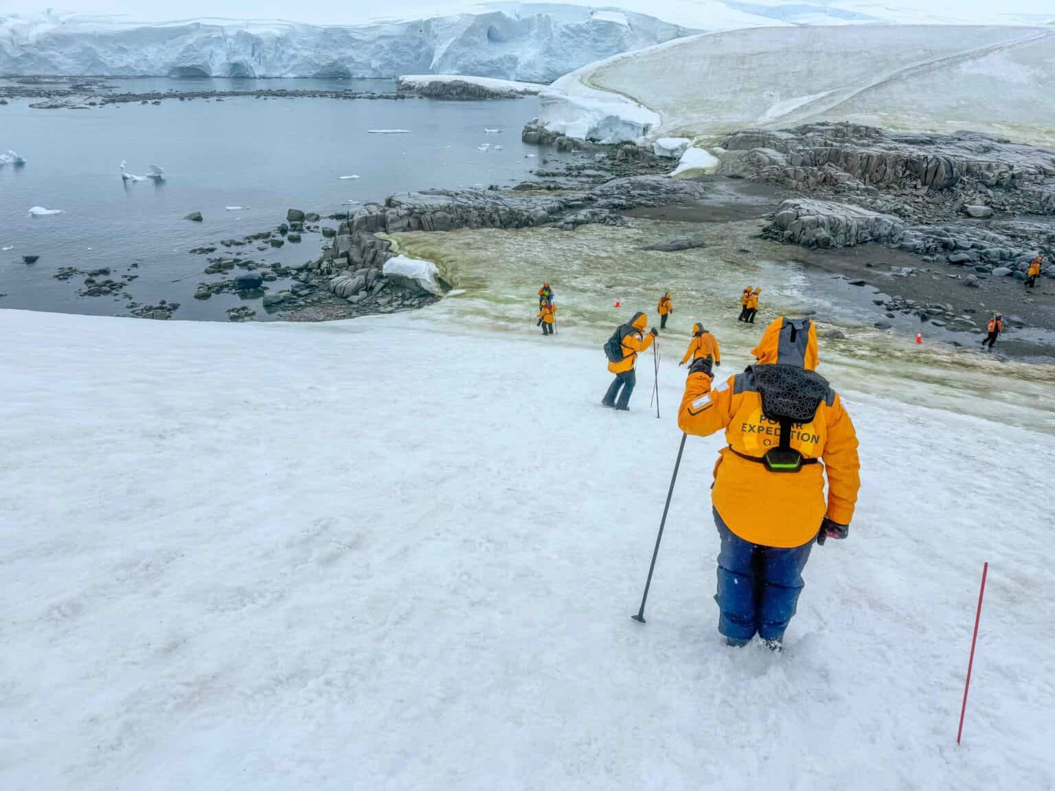 Passengers walking a snow landing site marked with safety poles, Antarctica expedition