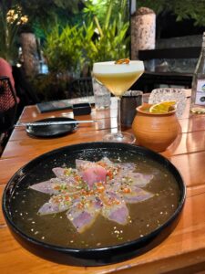 Elegantly plated tuna tiradito in a black bowl alongside a pisco sour cocktail at an outdoor restaurant in the Galapagos