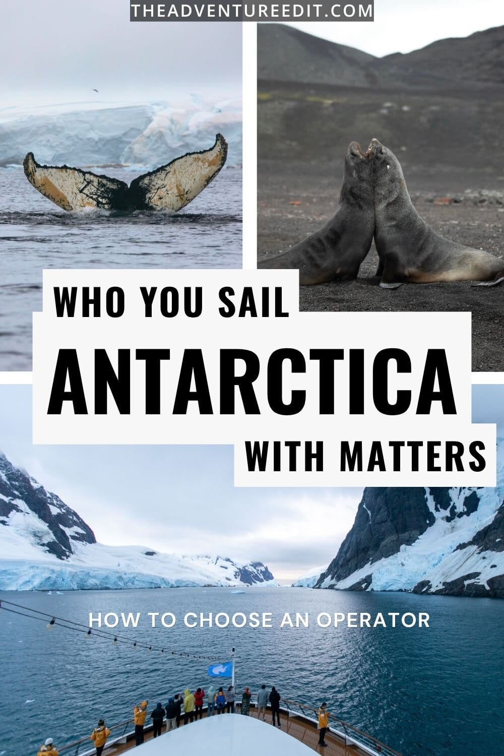 how to choose an antarctica cruise expedition ship tier breakdown operator comparison