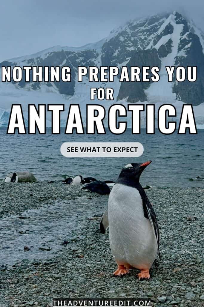 Pinterest Pin: zodiac boat landing on the Antarctic shore with close up of a Gentoo penguin and snow covered mountains behind