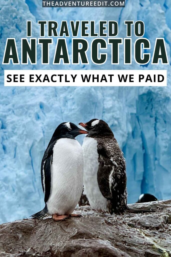 two penguins in front of a glacier wall in Antarctica, with text reading I traveled to Antarctica, see exactly what we paid to show the Antarctica expedition cost for a 10-day expedition